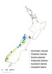 Cardamine unguiculus distribution map based on databased records at AK, CHR, OTA & WELT.
 Image: K.Boardman © Landcare Research 2018 CC BY 4.0